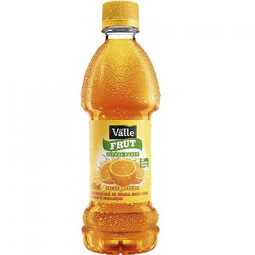 Del Valle Frut Citrus Punch 450ml